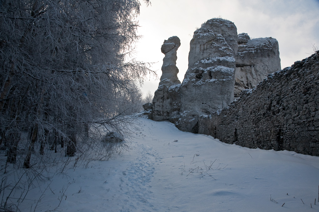 Ogrodzieniec